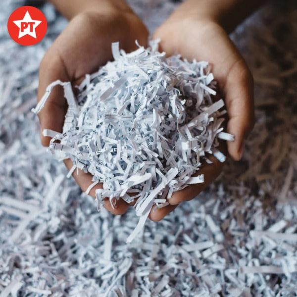 Các loại giấy phế liệu thông thường