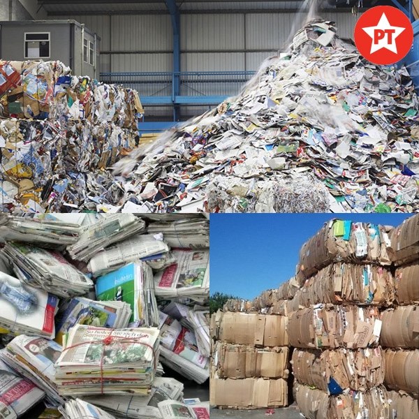 Dịch vụ thu mua giấy vụn số lượng lớn tại miền Bắc mang đến nhiều đặc điểm đặc biệt