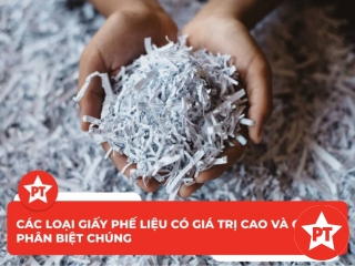 Các loại giấy phế liệu có giá trị cao và cách phân biệt chúng