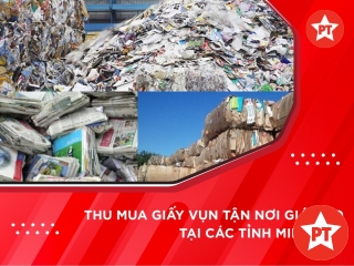 Thu mua giấy vụn tận nơi giá cao tại các tỉnh miền Bắc